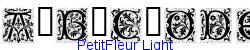 PetitFleur Light - Light weight  507K (2004-10-22)
