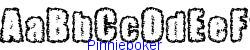 Pinniepoker   74K (2002-12-27)