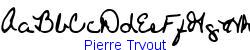Pierre Tryout   65K (2002-12-27)