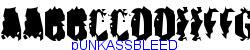 pUNKASSBLEED    8K (2002-12-27)