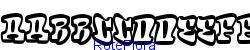 RoteFlora   28K (2005-08-21)