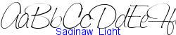 Saginaw  Light - Light weight  144K (2005-02-24)