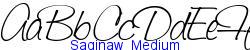 Saginaw  Medium - Medium/Normal weight  144K (2005-02-17)