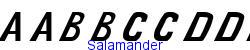 Salamander    5K (2002-12-27)