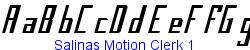 Salinas Motion Clerk 1   10K (2002-12-27)