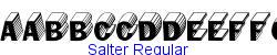 Salter Regular   20K (2002-12-27)