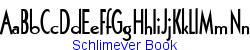 Schlimeyer Book   28K (2002-12-27)