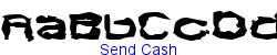 Send Cash   22K (2002-12-27)