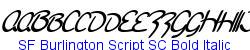 SF Burlington Script SC Bold Italic - Bold weight  186K (2005-09-14)