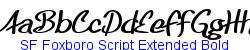 SF Foxboro Script Extended Bold - Bold weight  198K (2005-05-19)