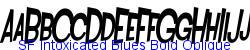 SF Intoxicated Blues Bold Oblique - Bold weight  187K (2003-01-22)