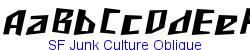 SF Junk Culture Oblique   135K (2003-03-02)
