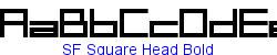 SF Square Head Bold - Bold weight   60K (2003-08-30)