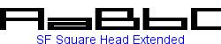 SF Square Head Extended   60K (2003-08-30)