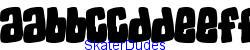 SkaterDudes   15K (2003-01-22)