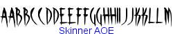 Skinner AOE   30K (2002-12-27)