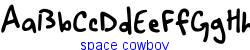 space cowboy   11K (2002-12-27)
