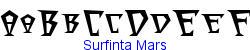 Surfinta Mars   25K (2002-12-27)
