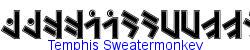 Temphis Sweater Monkey   14K (2006-08-28)
