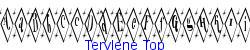 Terylene Top   18K (2002-12-27)