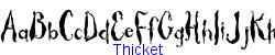 Thicket   46K (2003-01-22)