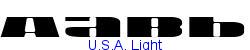U.S.A. Light - Light weight   91K (2003-11-04)