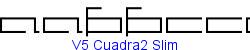 V5 Cuadra2 Slim - Light weight   32K (2003-08-30)