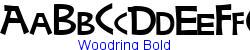 Woodring Bold   10K (2002-12-27)