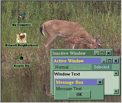 Preview Image