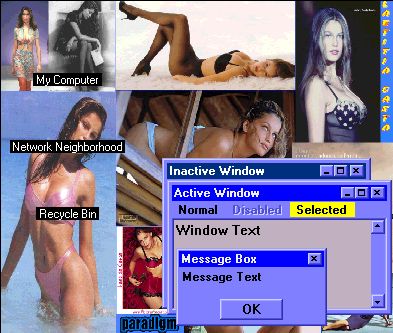 Preview Image