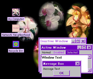 Preview Image