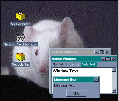 Preview Image
